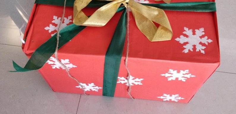 When Fevicol played Santa Claus to my daughter!
