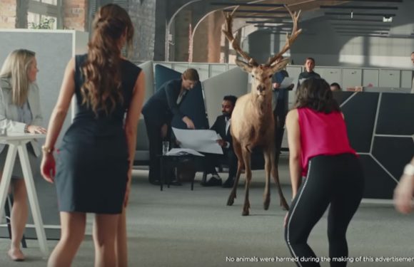 Har ad film mein Stag! —Allen Solly