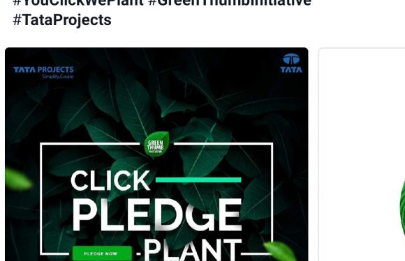 You Click. We plant. Job done?