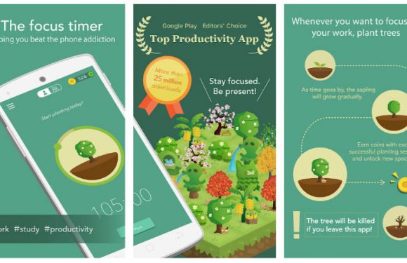 Plant a sapling on your phone and concentrate