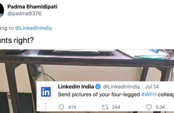 LinkedIn’s promoted tweets!