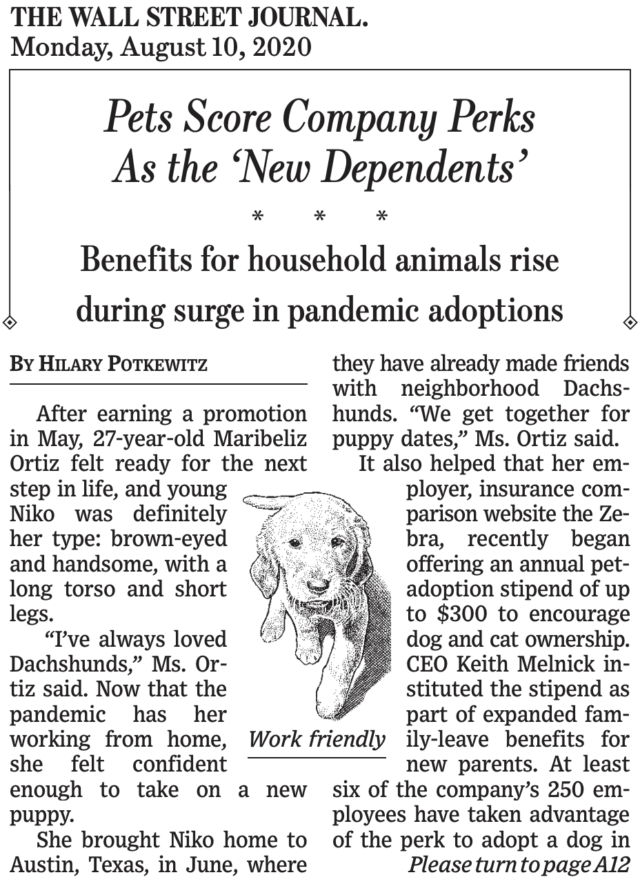 Pets as dependents in an insurance policy?