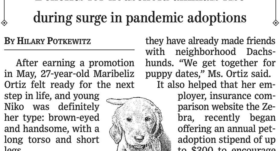 Pets as dependents in an insurance policy?