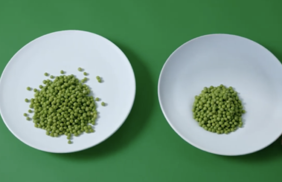 A smart plate
