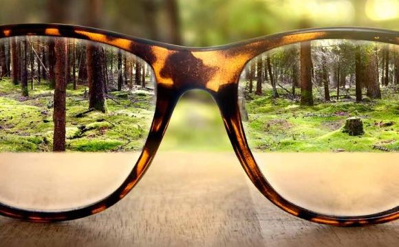Occupation, preoccupation, and a filter to see the world through