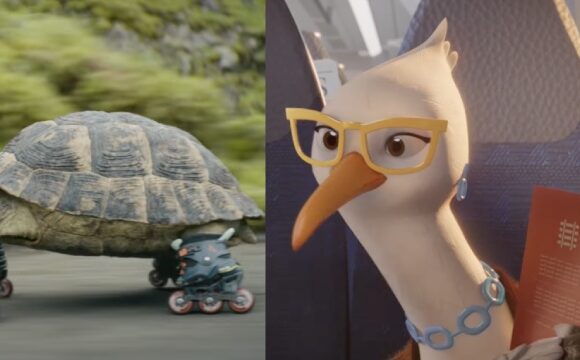 Trains, turtles and seagulls